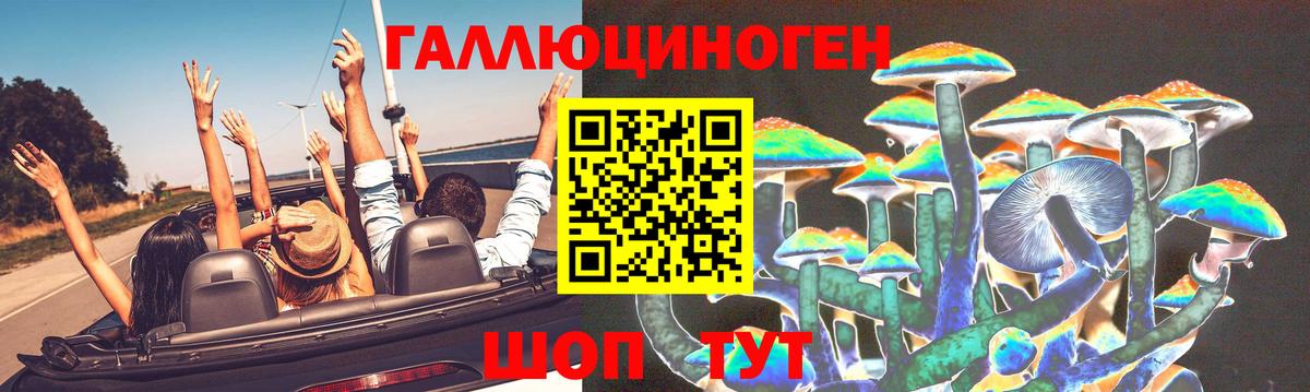 Псилоцибиновые грибы GOLDEN TEACHER Комсомольск-на-Амуре