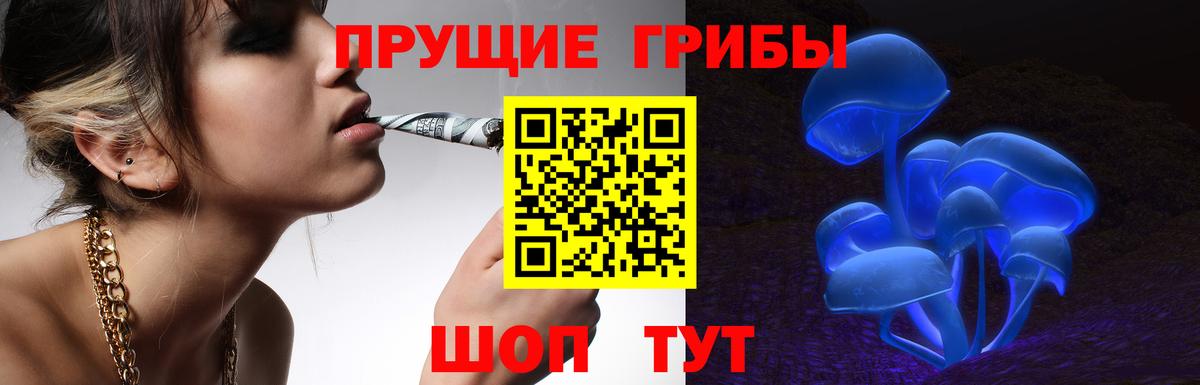 Галлюциногенные грибы Cubensis  Вход с VPN  Галлюциногенные грибы мицелий  Комсомольск-на-Амуре 